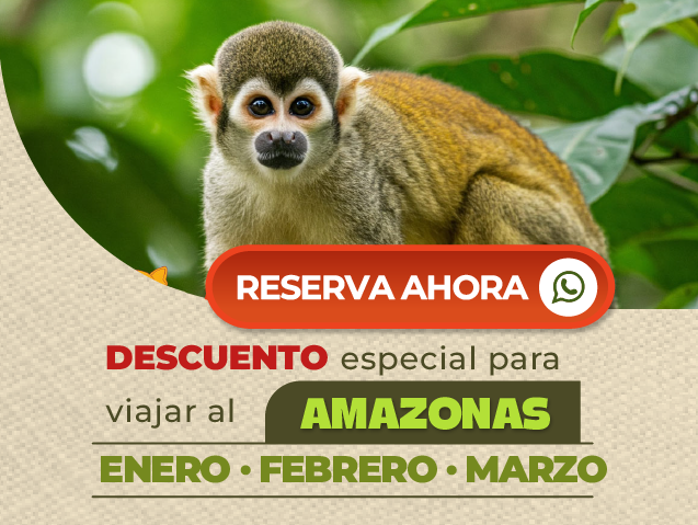 Paisaje natural del Amazonas colombiano, destino de turismo y planes de aventura